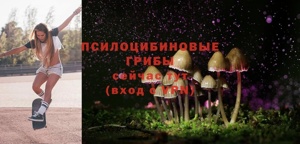 спайс Алексин